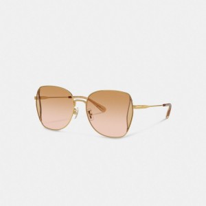 Coach Oversized Butterfly Sunglasses コーラル 色 ピンク カラー | COH866371