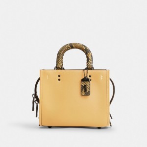 Coach Rogue 17 With Snakeskin Detail 青 グレー | COH865346
