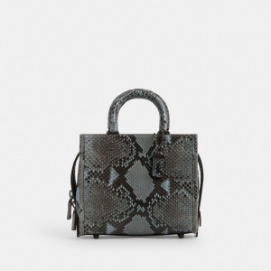 Coach Rogue 20 In Snakeskin 青 グレー 青 | COH865174
