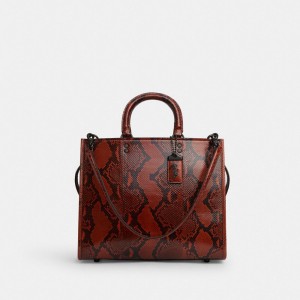 Coach Rogue Bag In Snakeskin 青 グレー オレンジ | COH865135