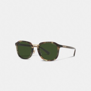 Coach Rounded Geometric Sunglasses 緑 | COH867069
