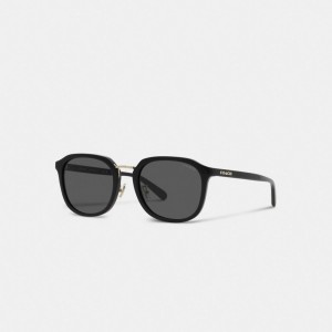 Coach Rounded Geometric Sunglasses 黒 | COH867085