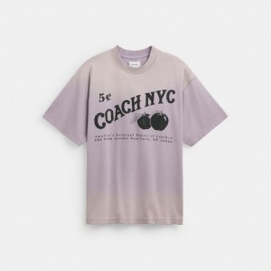 Coach Signature Apple T Shirt 紫 | COH866921