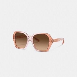 Coach Signature Ombré Geometric Square Sunglasses ブラウン | COH866380
