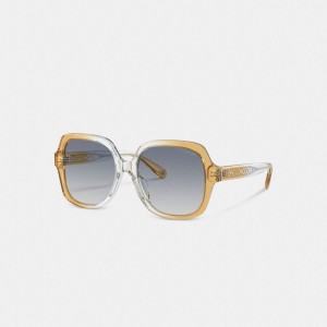 Coach Signature Ombré Oversized Square Sunglasses 青 | COH866332