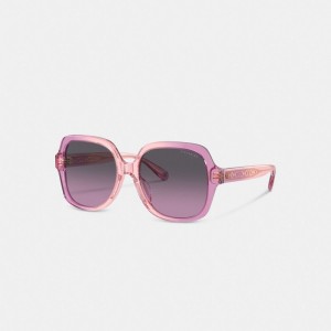 Coach Signature Ombré Oversized Square Sunglasses ピンク 紫 | COH866387