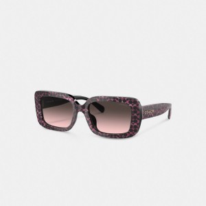 Coach Signature Oversized Rectangle Sunglasses 黒 ピンク | COH866333