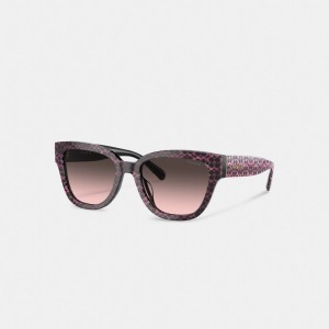 Coach Signature Round Sunglasses ピンク | COH866359