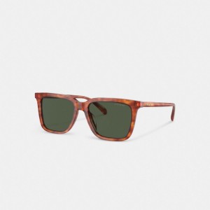 Coach Signature Square Sunglasses 緑 | COH866338