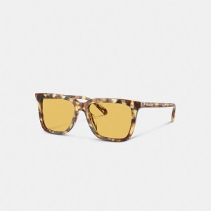 Coach Signature Square Sunglasses オレンジ | COH866398