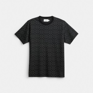 Coach Signature T Shirt グレー | COH866920