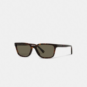 Coach Signature Workmark Square Sunglasses ブラウン | COH866368