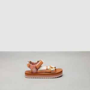Coach Strappy Sandal カラー | COH865858