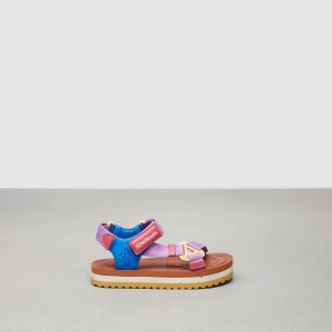 Coach Strappy Sandal 紫 カラー | COH865873