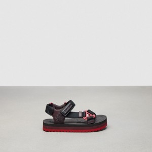 Coach Strappy Sandal 黒 ボルドー カラー | COH865895
