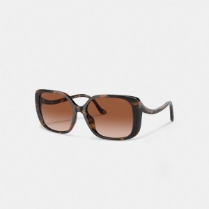Coach Swoop Temple Rectangle Sunglasses ブラウン | COH866325