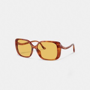 Coach Swoop Temple Rectangle Sunglasses ブラウン | COH866375