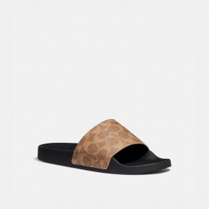 Coach Udele Sport Slide In Signature Canvas ブラウン | COH865855