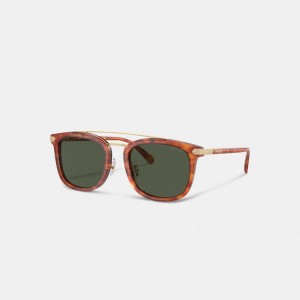 Coach Wrap Around Hangtag Browbar Sunglasses ブラウン | COH867070