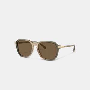 Coach Wrap Around Hangtag Keyhole Sunglasses 緑 ブラウン | COH867084