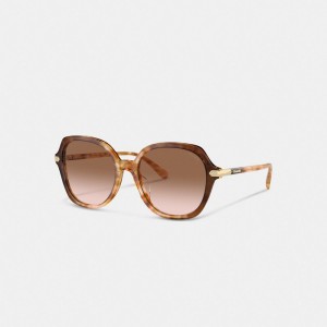 Coach Wrap Around Hangtag Oversized Geometric Round Sunglasses オレンジ | COH866341