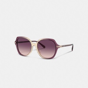 Coach Wrap Around Hangtag Oversized Geometric Round Sunglasses 紫 ベージュ | COH866373