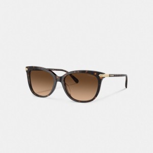 Coach Wrap Around Hangtag Square Sunglasses ブラウン | COH866396